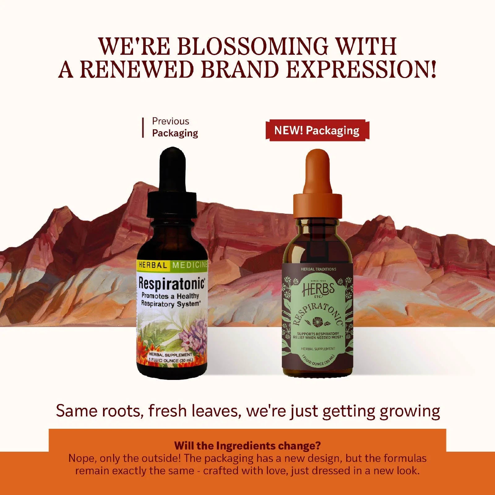 Respiratonic Liquid, 1 Oz, by Herbs, Etc, image #3