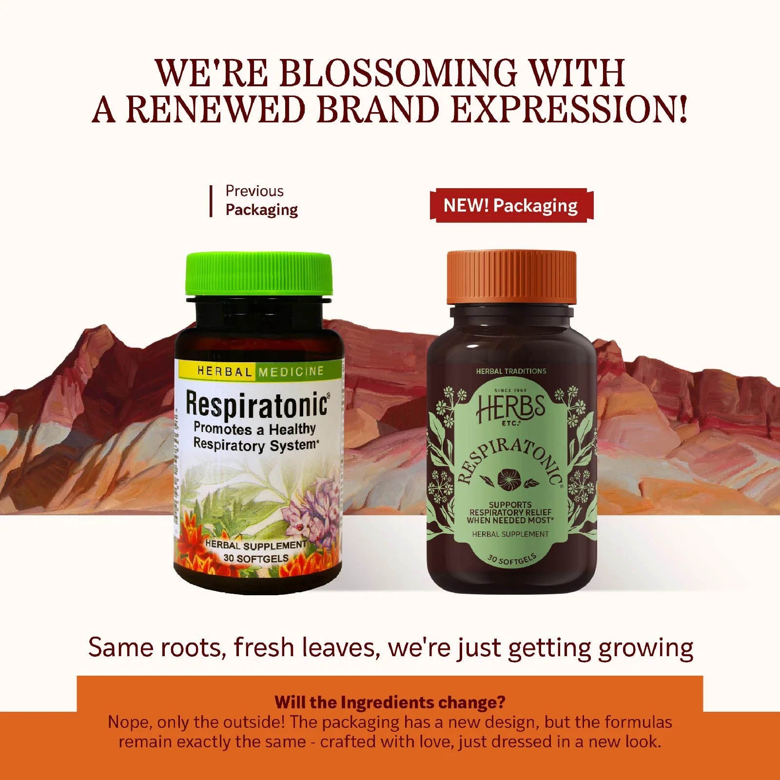 Respiratonic Softgels, 30 Softgels, by Herbs, Etc, image #3