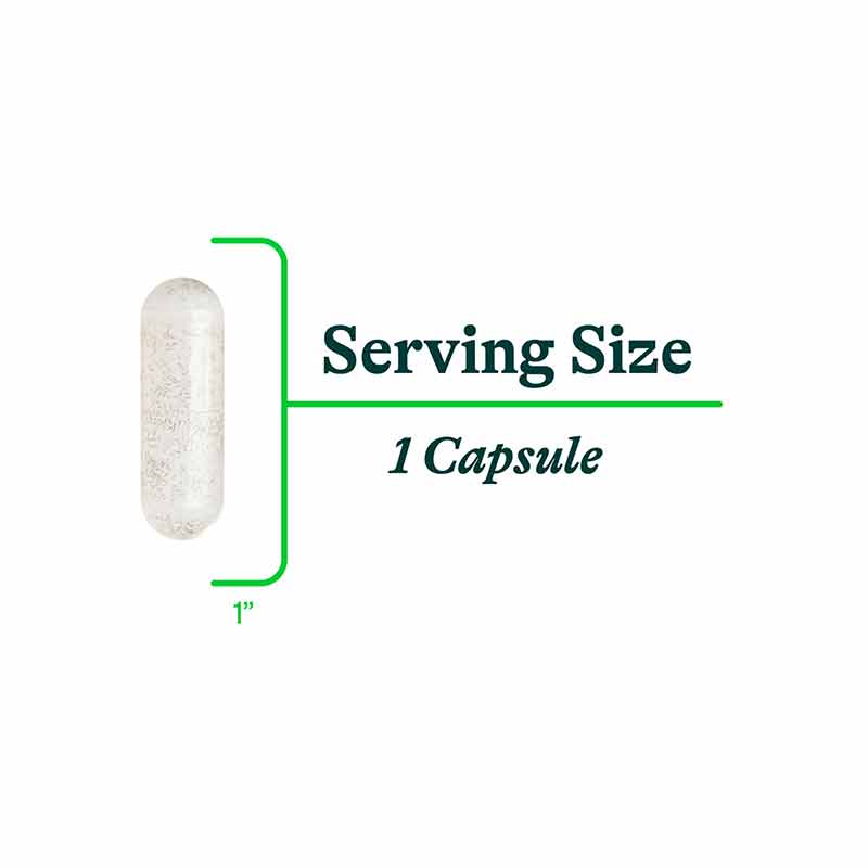 Saccharomyces Boulardii, by Seeking Health, image #6