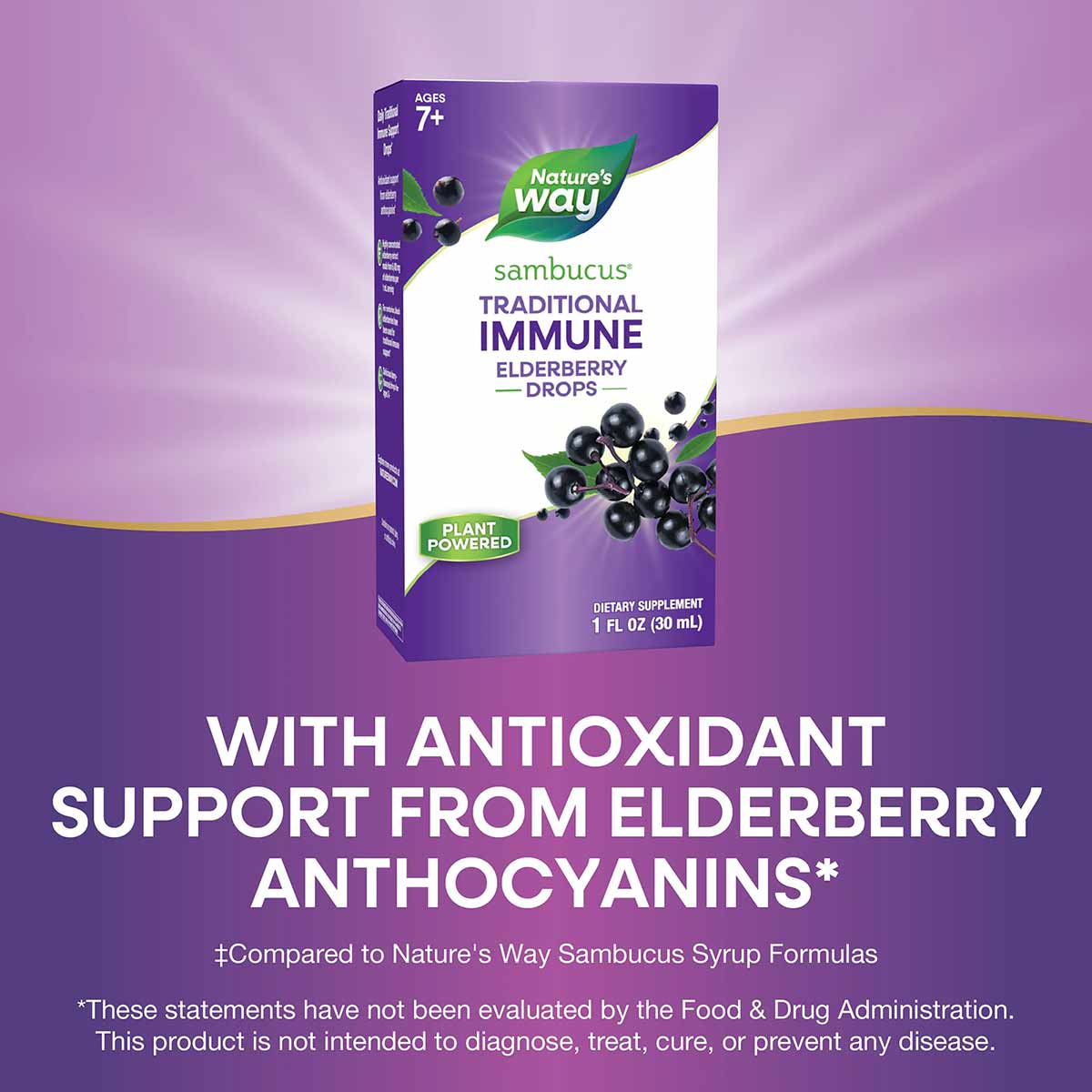 Nature's Way Sambucus elderberry drops bottle, 1 fl oz, labeled for ages 7+, featuring purple packaging with elderberry image