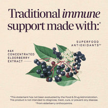 Elderberry clusters with green leaves and white flowers on beige background with text describing immune support ingredients.