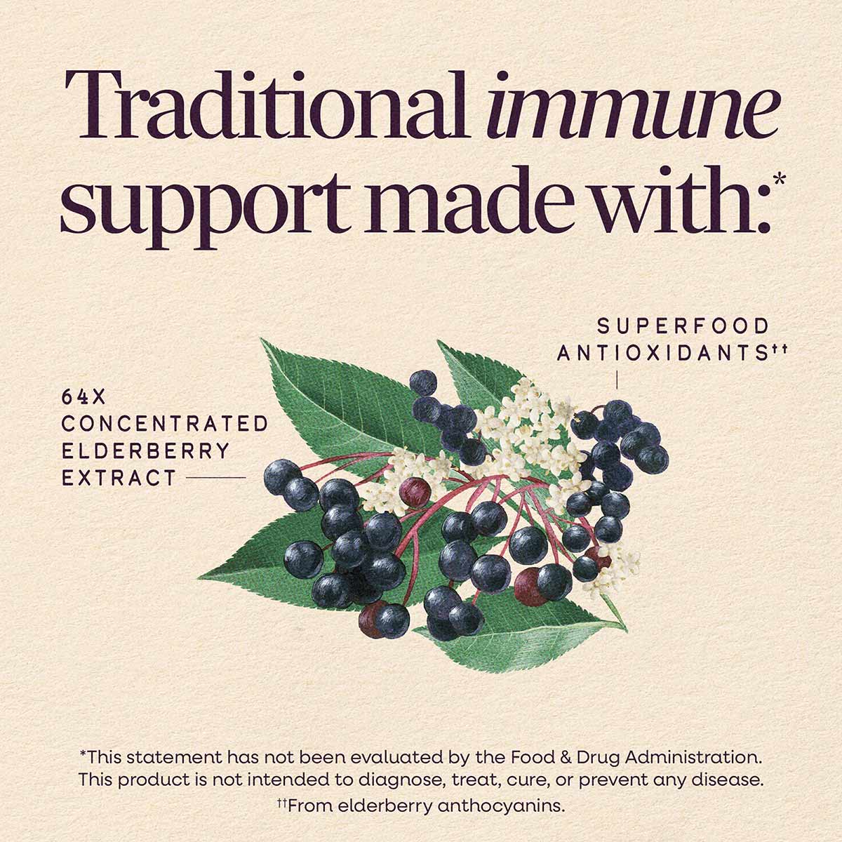 Elderberry clusters with green leaves and white flowers on beige background with text describing immune support ingredients.