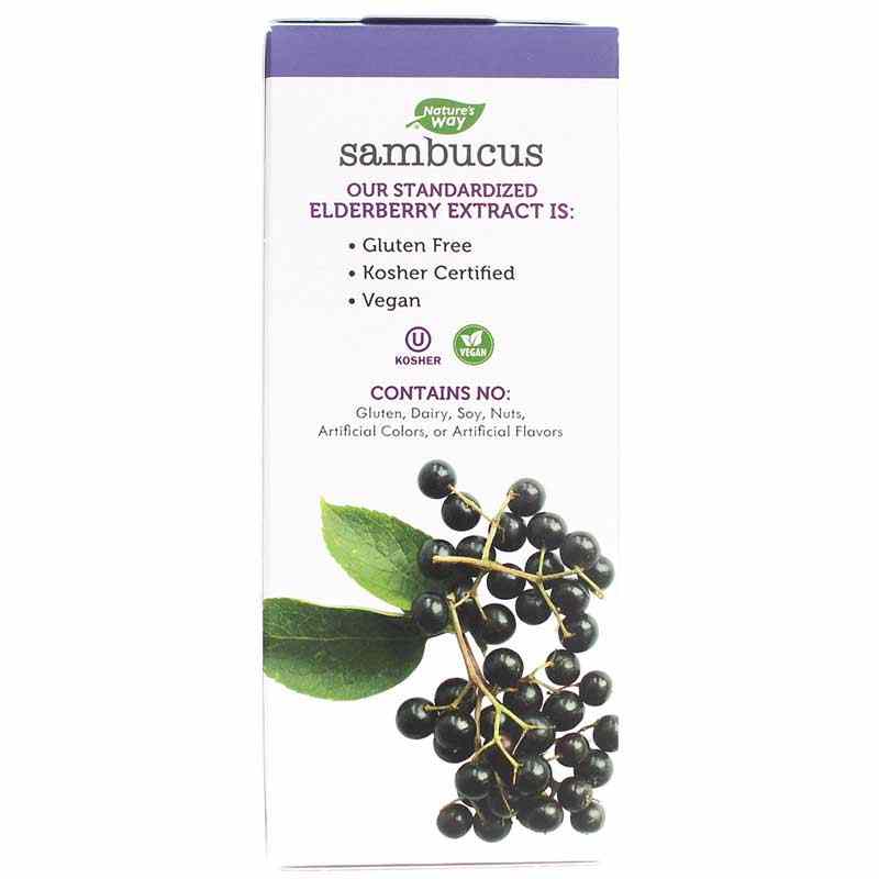 Sambucus Elderberry Sugar-Free Syrup, 4 Oz, by Natures Way, image #3