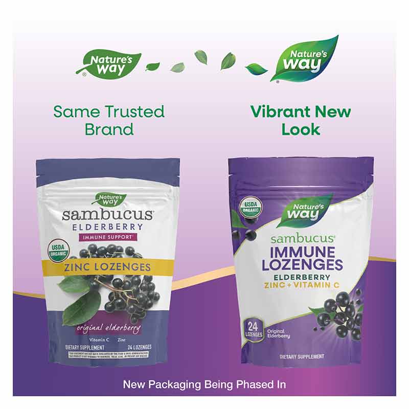 Sambucus Elderberry Zinc Lozenges Organic, Original, by Natures Way, image #3