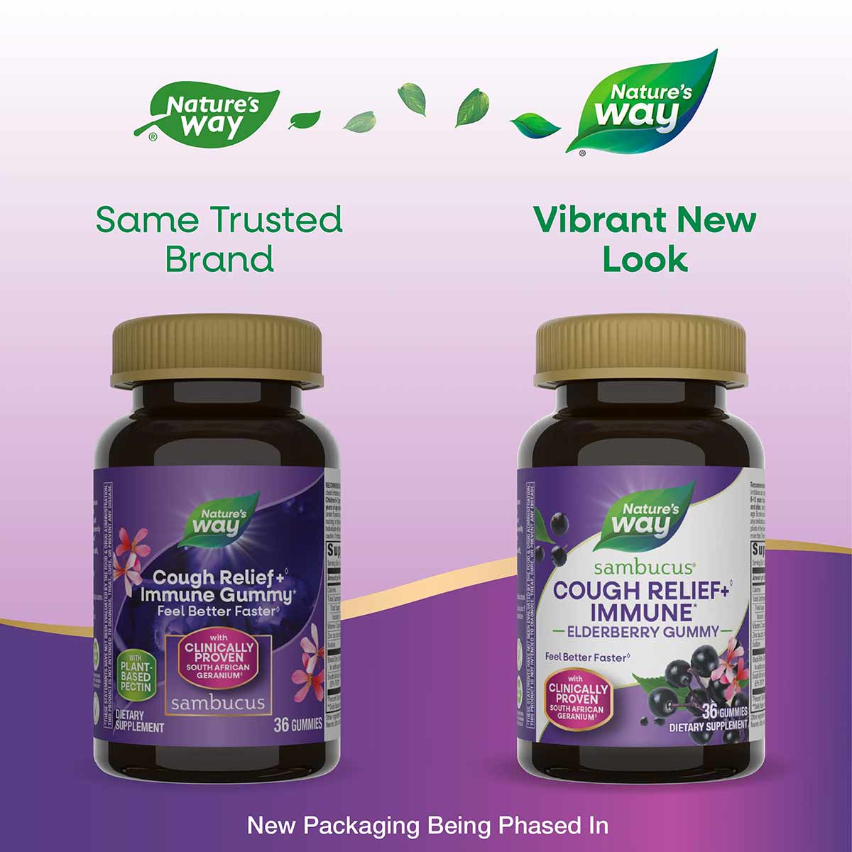 Two dark glass bottles of Nature's Way Sambucus elderberry gummies with gold caps, showing old and new label designs side by 