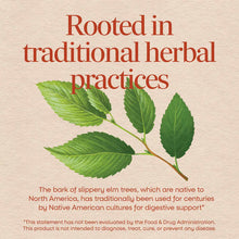 Bottle of Nature's Way Slippery Elm Bark supplement with green leaf botanical illustration on beige background.