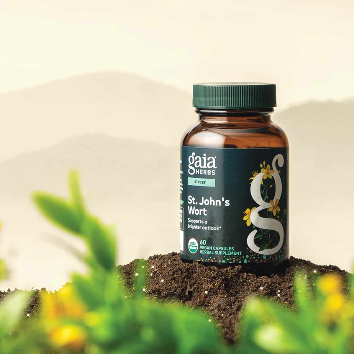 Gaia Herbs St. John's Wort bottle with green cap sitting on soil surrounded by yellow flowers and green foliage.
