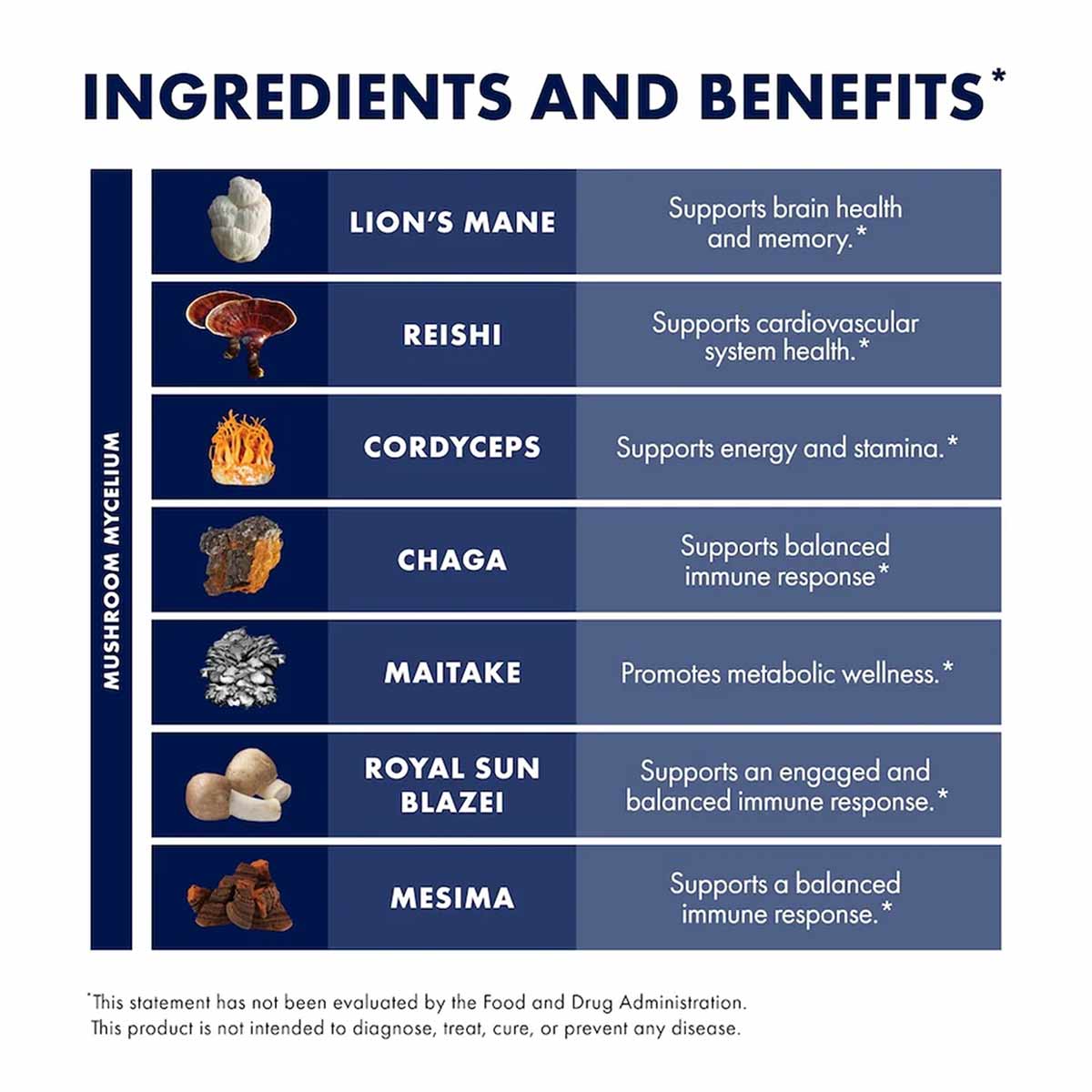Chart displaying seven mushroom ingredients with their names and associated benefits, on dark blue background with white text