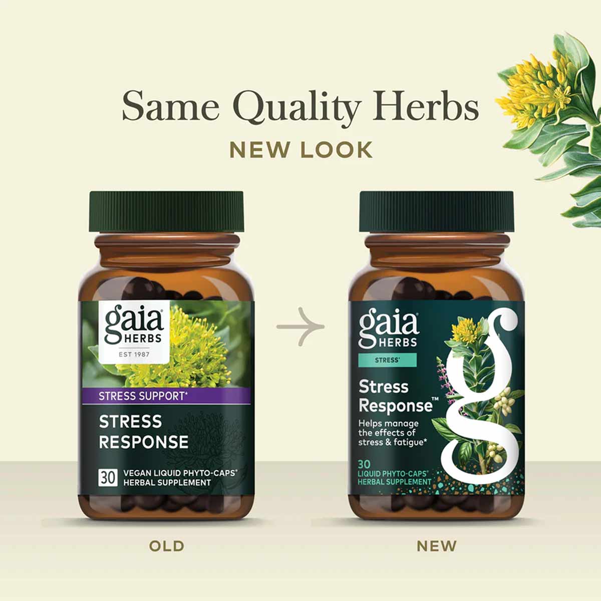 Stress Response, by Gaia Herbs