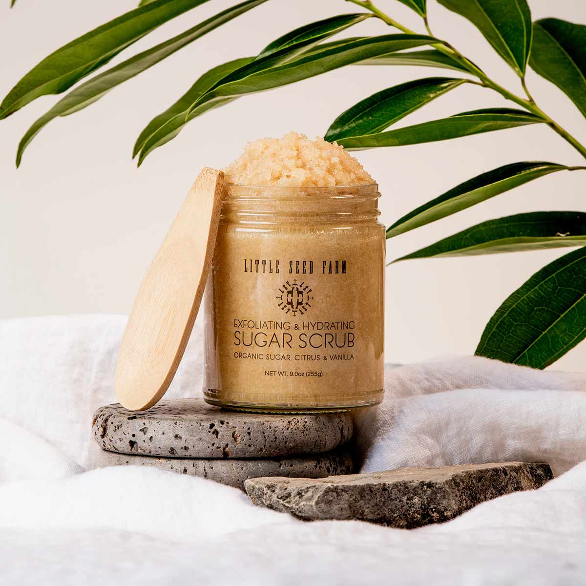 An open glass jar of Little Seed Farm sugar scrub with a wooden spatula rests on stone beside green leaves.