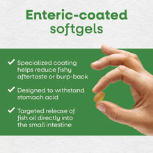 Super Fisol Enteric-Coated Fish Oil, by Natures Way