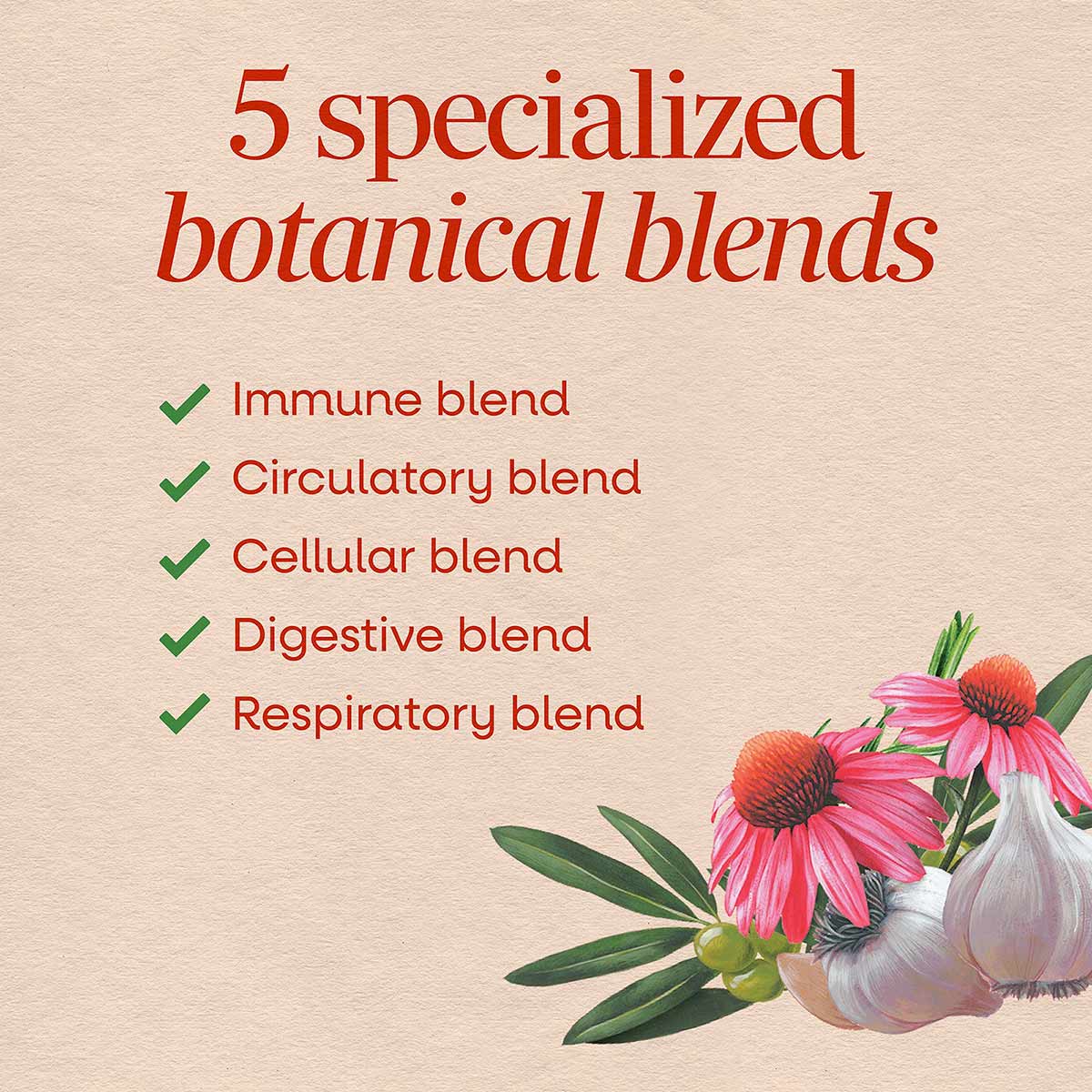Product label listing five specialized botanical blends: immune, circulatory, cellular, digestive, and respiratory, with echi