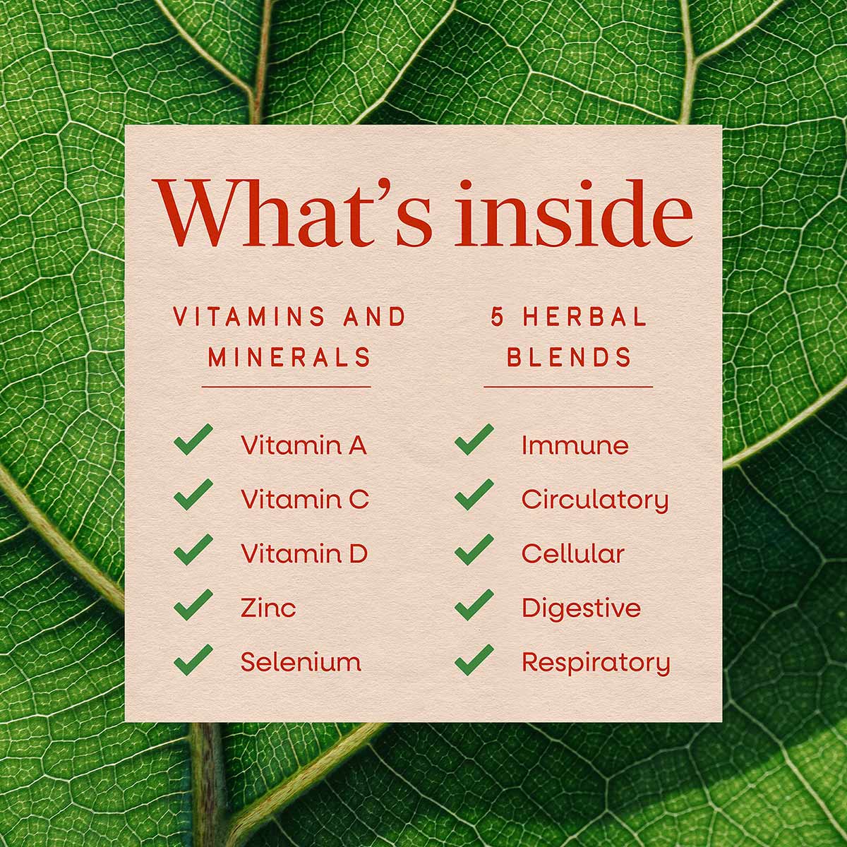 Cream-colored card on green leaf background listing vitamins A, C, D, zinc, selenium and five herbal blends.