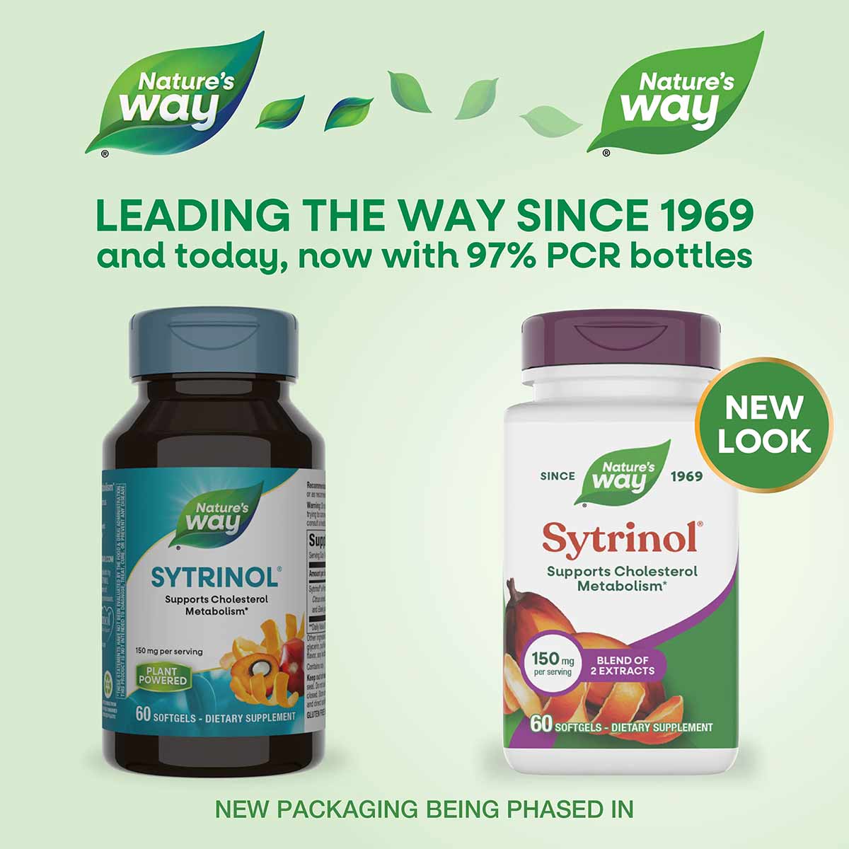 Two Sytrinol cholesterol control supplement bottles by Nature's Way, showing old and new packaging designs with 60 softgels e