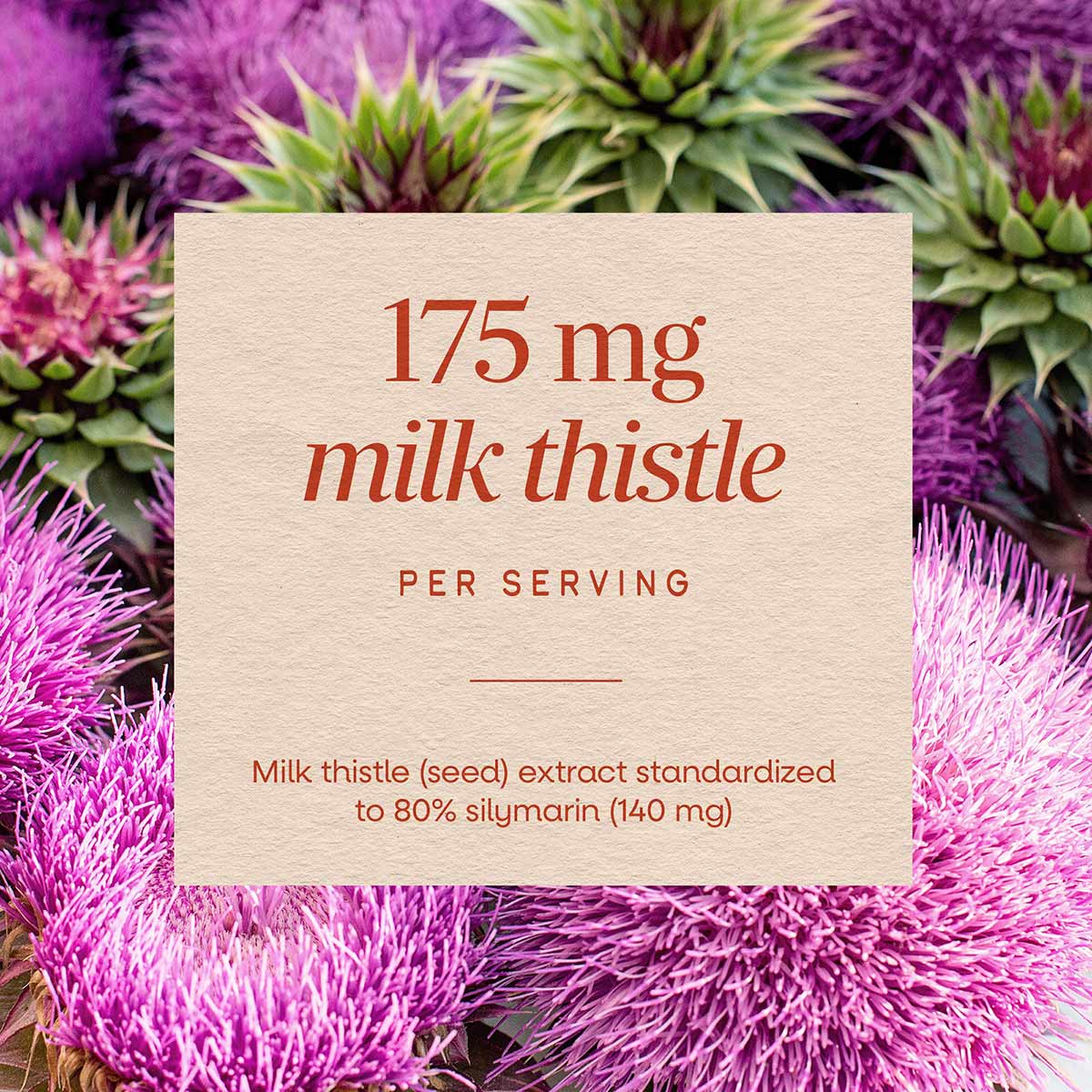 Cream-colored label displaying "175 mg milk thistle per serving" with extract details, overlaid on purple and green milk this