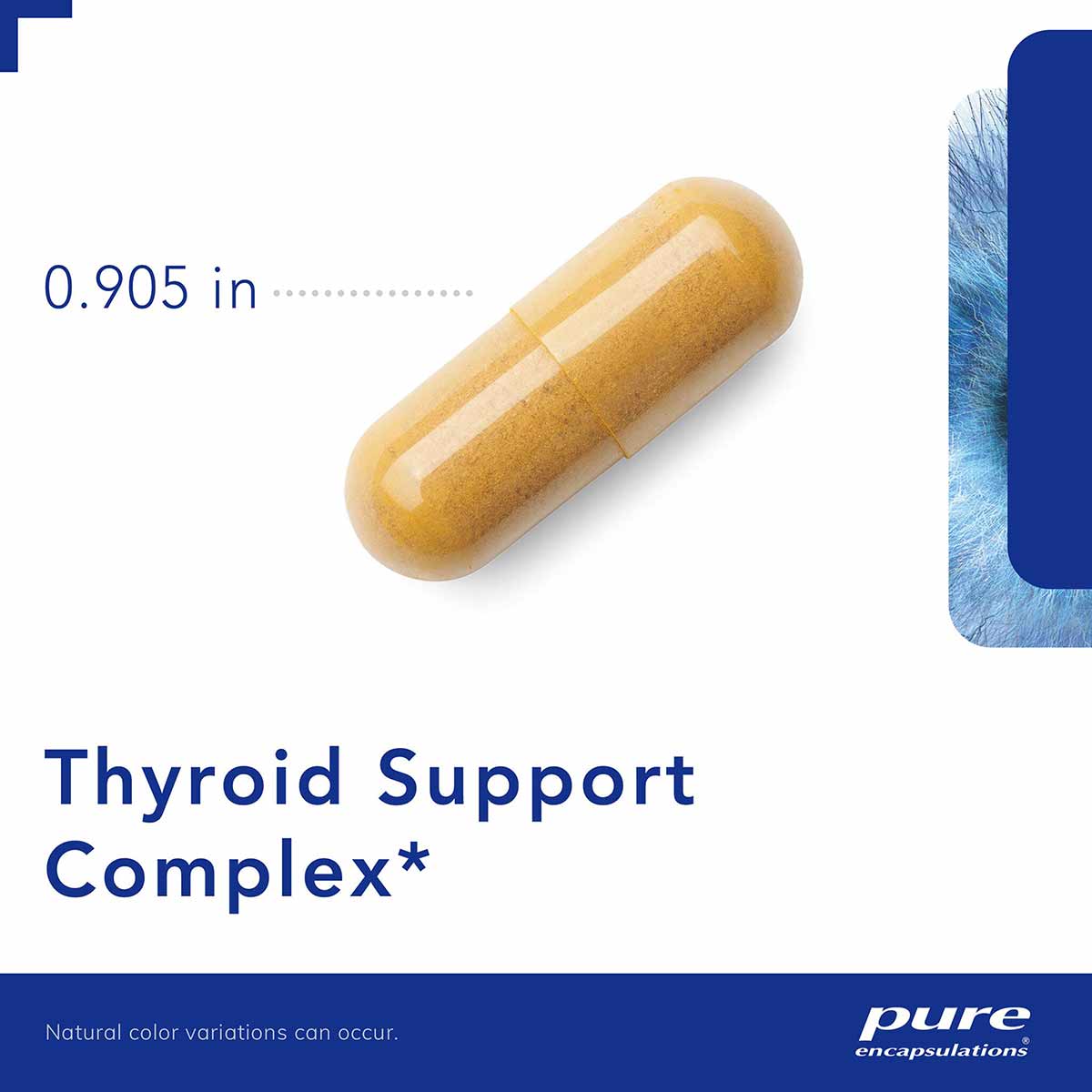 Thyroid Support Complex, by Pure Encapsulations