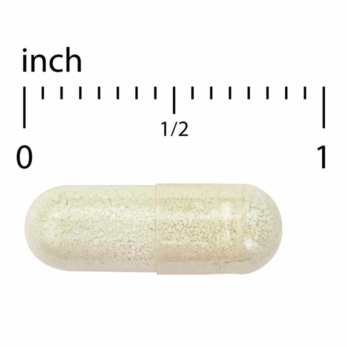 Beige capsule supplement shown against ruler measuring approximately one inch in length.