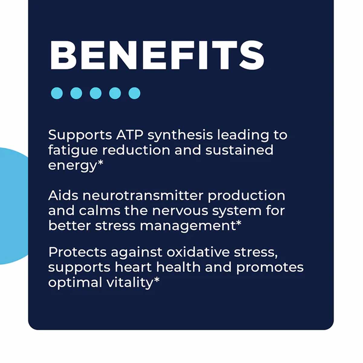 TriMag Complex, by CellCore