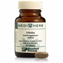 Tribulus, by Standard Process