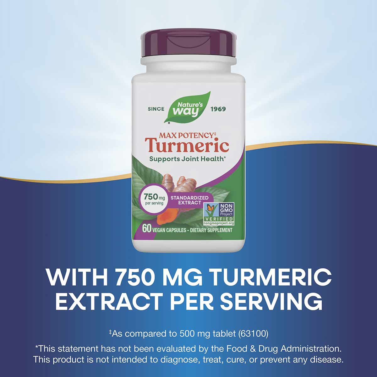Nature's Way Turmeric Premium Extract 750 mg bottle with burgundy cap and 60 vegan capsules.