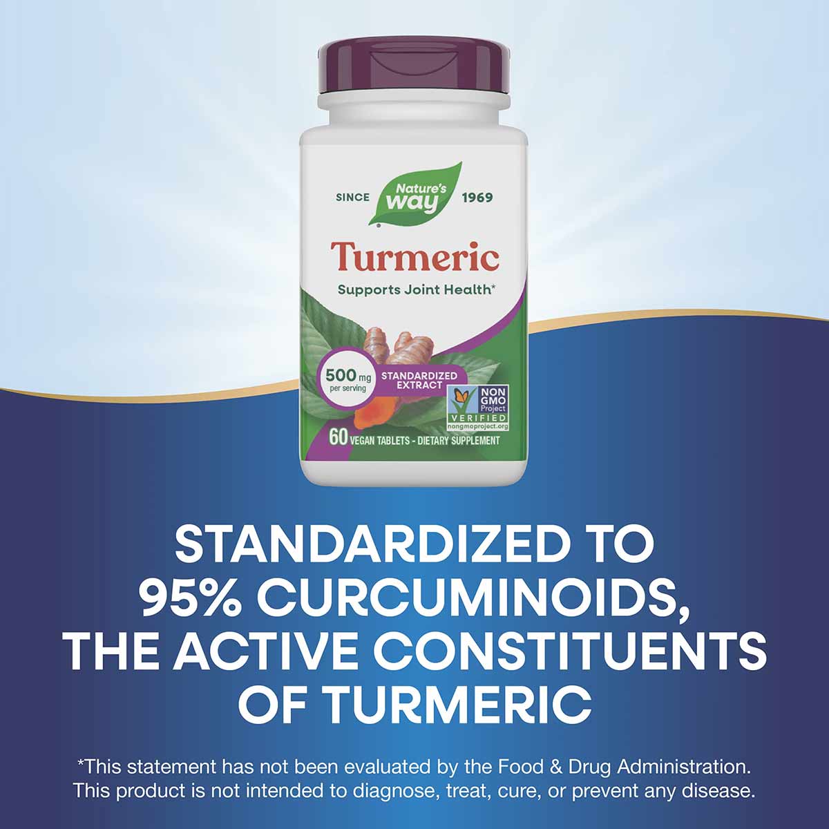 Nature's Way Turmeric supplement bottle with burgundy cap containing 60 vegan tablets, 500mg per serving.