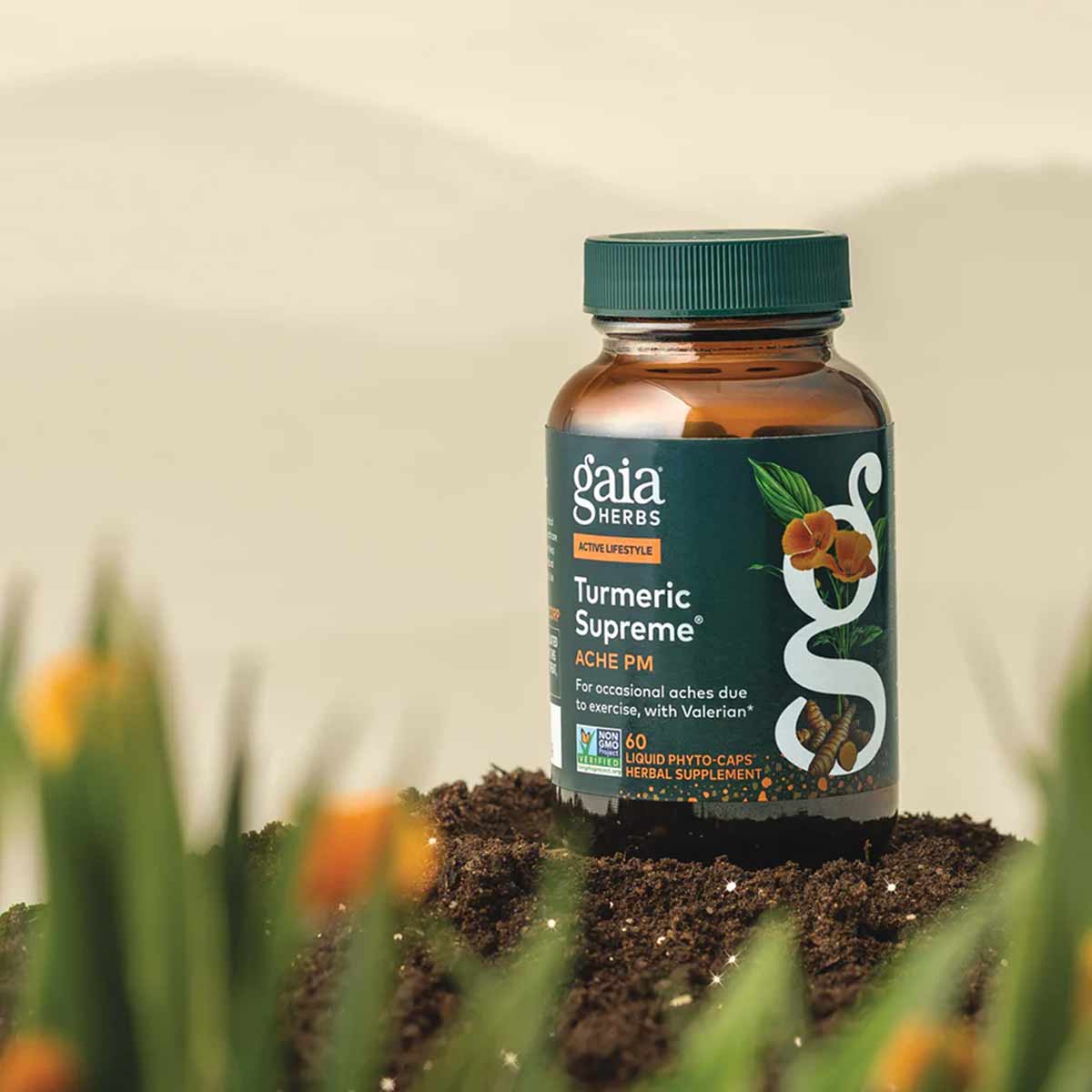 Gaia Herbs Turmeric Supreme Ache PM bottle with green cap containing 60 liquid phyto-caps herbal supplement.