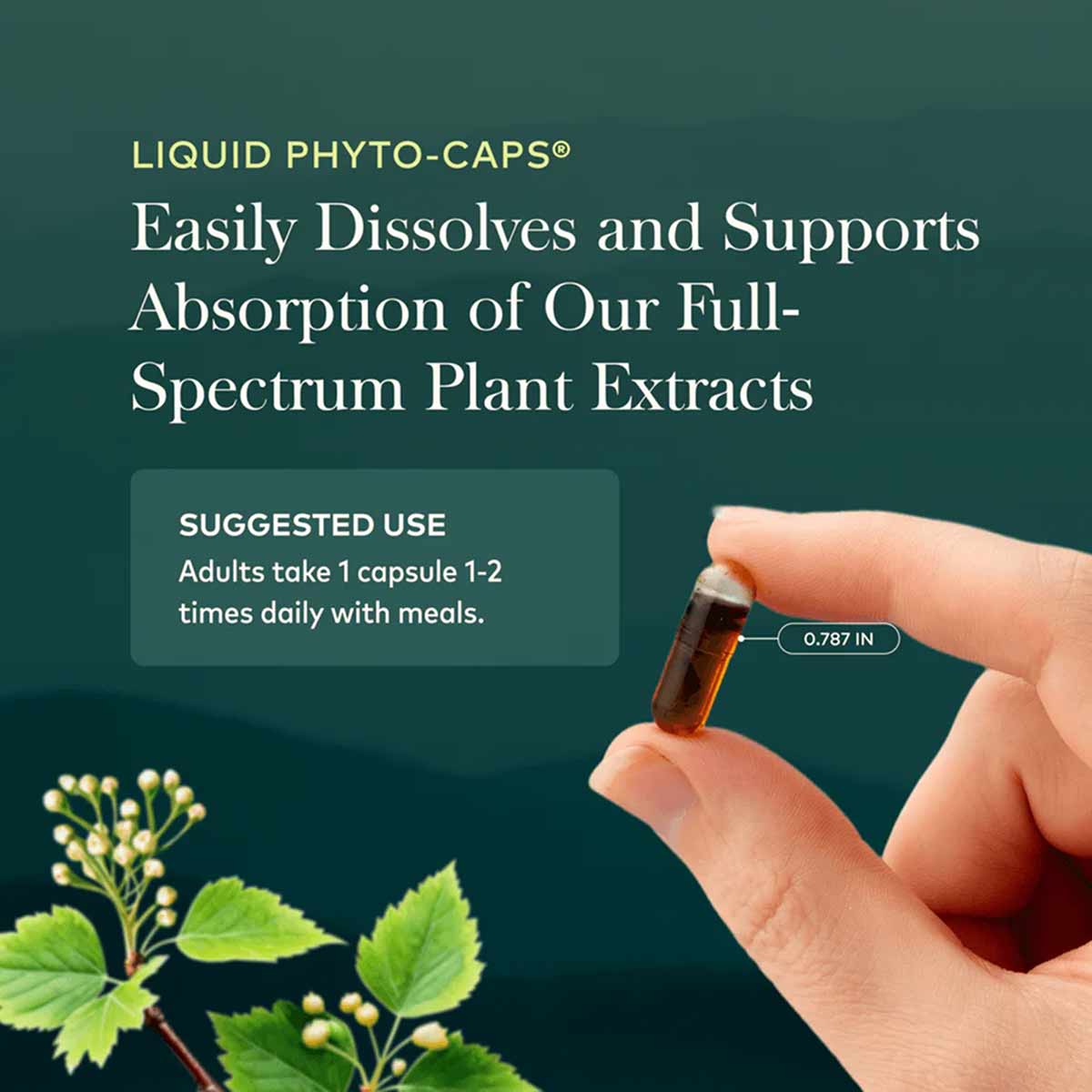 Turmeric Supreme Extra Strength, by Gaia Herbs