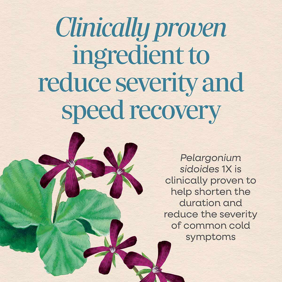 Purple flowers with green leaves and text describing clinically proven cold care ingredient on beige background.