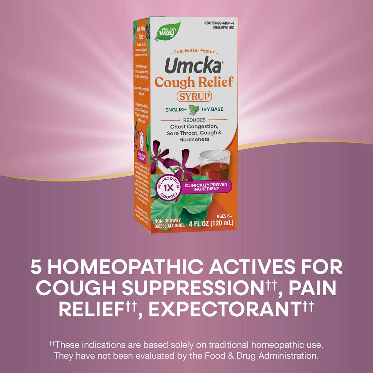 Umcka Cough Relief Syrup bottle by Nature's Way, 4 fl oz, with English ivy base and purple flower imagery on packaging.