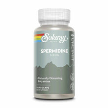Solaray Spermidine 3.3 mg supplement bottle with white cap containing 60 vegcaps on gray-green label.