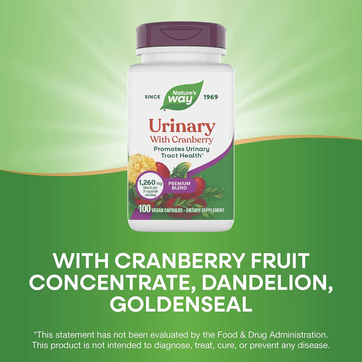 White bottle with purple cap labeled "Urinary With Cranberry" by Nature's Way, containing 100 vegan capsules.
