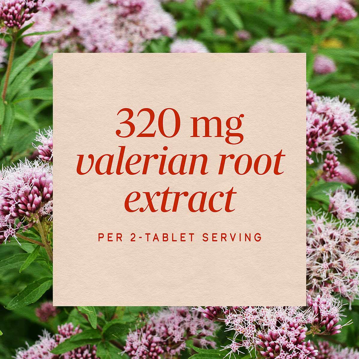 Cream-colored label displaying "320 mg valerian root extract per 2-tablet serving" in red text, photographed against pink val