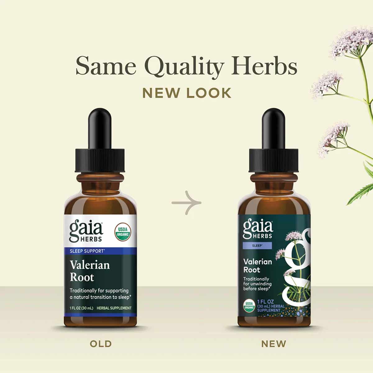 Two Gaia Herbs Valerian Root dropper bottles with organic certification, showing old and new label designs on cream backgroun
