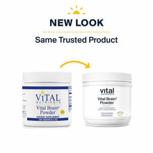 Vital Brain Powder, 6.3 Oz, by Vital Nutrients, image #6