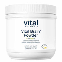 Vital Brain Powder, by Vital Nutrients