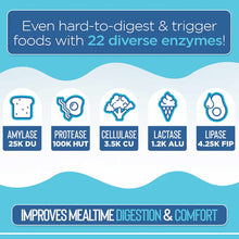 Infographic showing five digestive enzymes with icons: amylase, protease, cellulase, lactase, and lipase with their respectiv