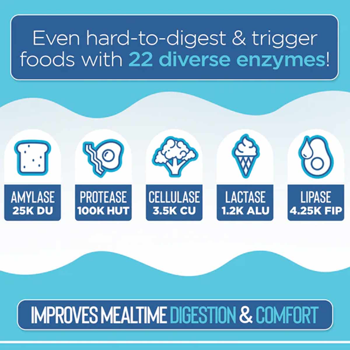 Infographic showing five digestive enzymes with icons: amylase, protease, cellulase, lactase, and lipase with their respectiv