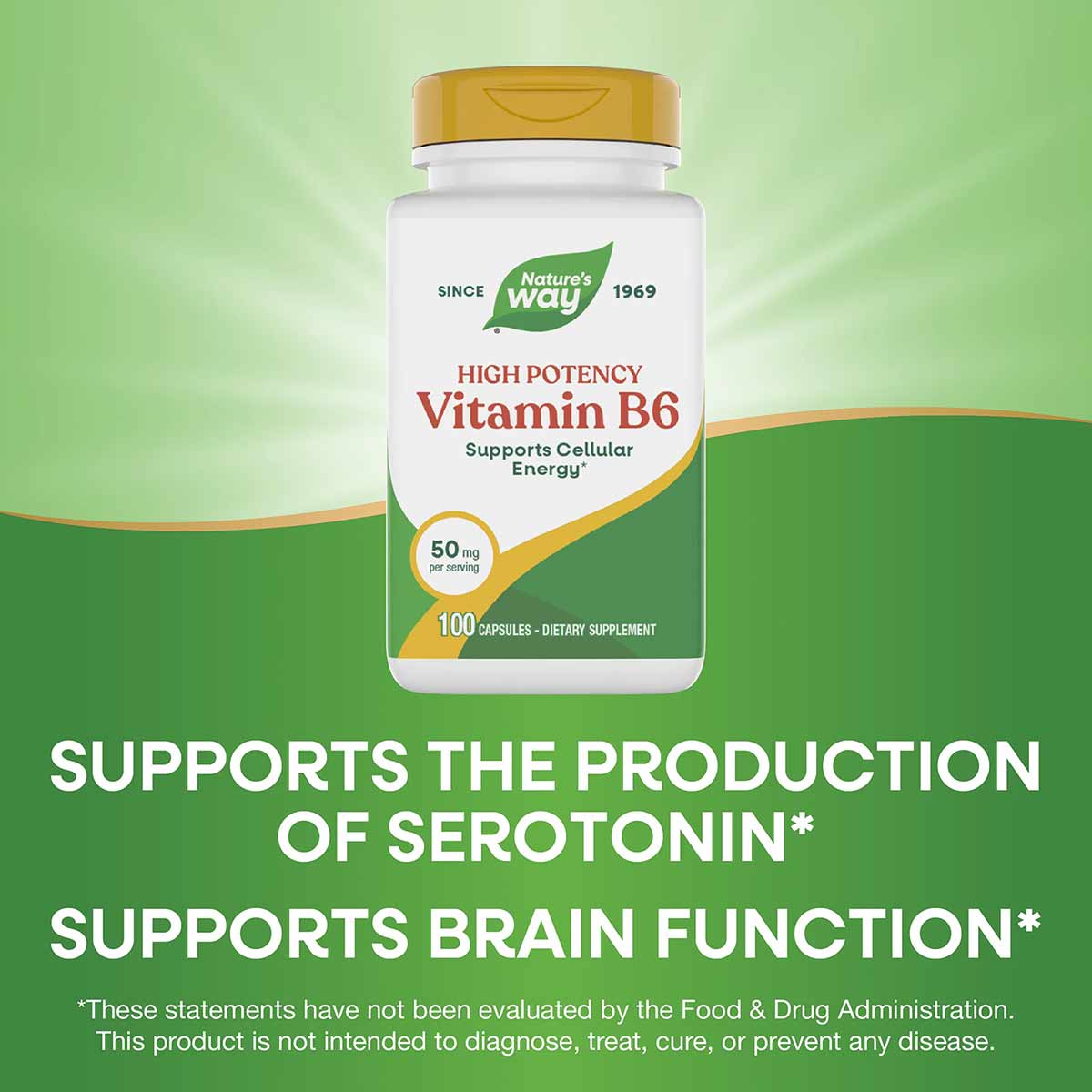 Nature's Way Vitamin B6 50 mg bottle with gold cap and green label, containing 100 capsules.