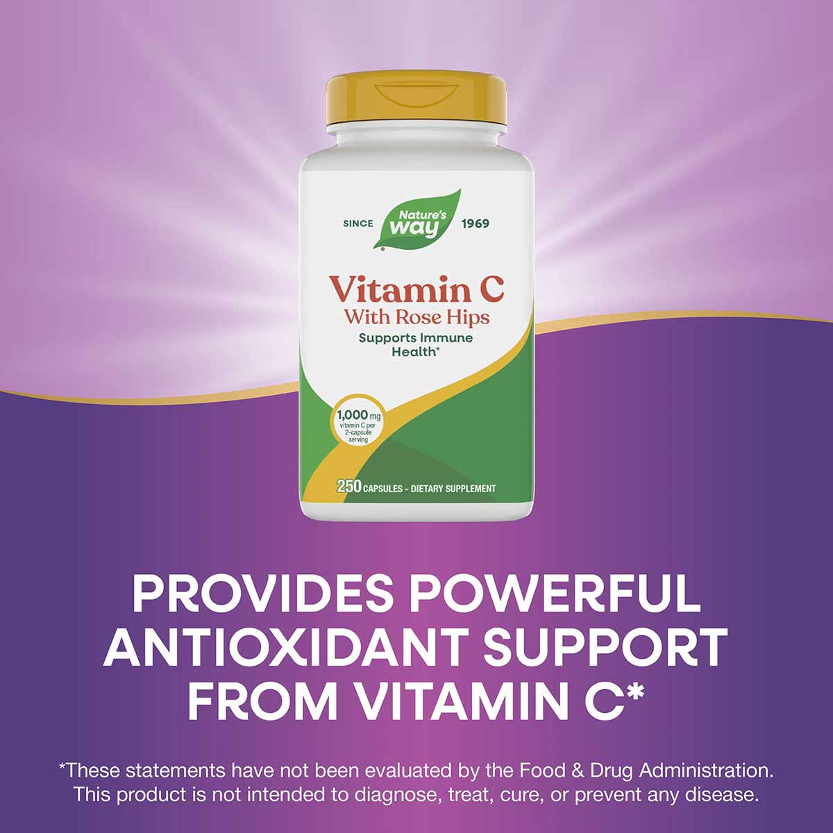 Nature's Way Vitamin C with Rose Hips bottle containing 250 capsules with gold cap on purple background.