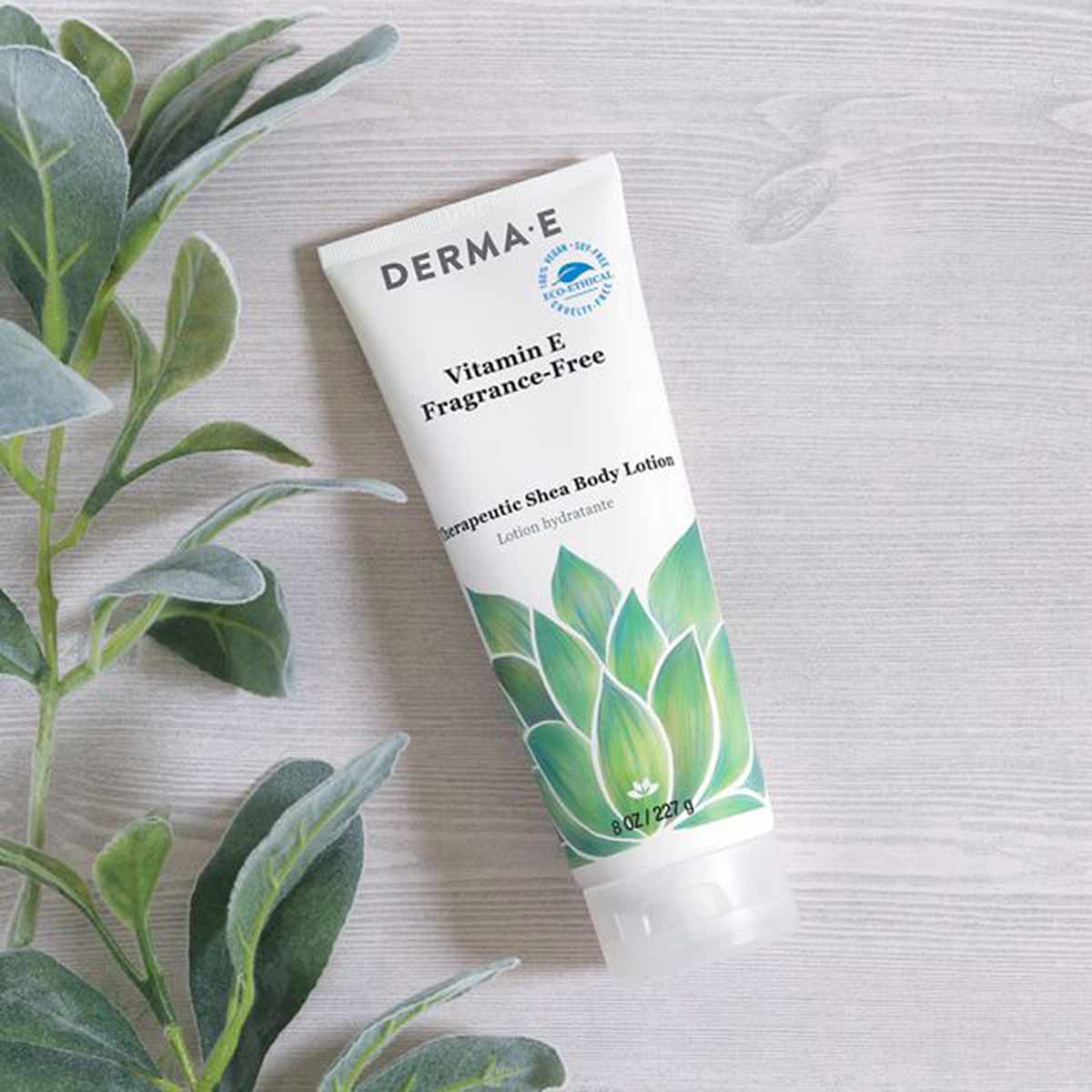 White tube of Derma E Vitamin E fragrance-free shea body lotion with green leaf design, displayed next to fresh green plant s