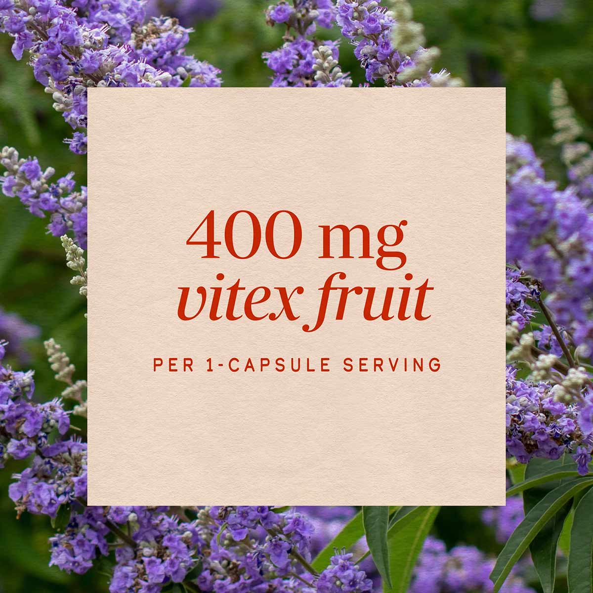 Product label displaying "400 mg vitex fruit per 1-capsule serving" on cream background with purple vitex flowers.