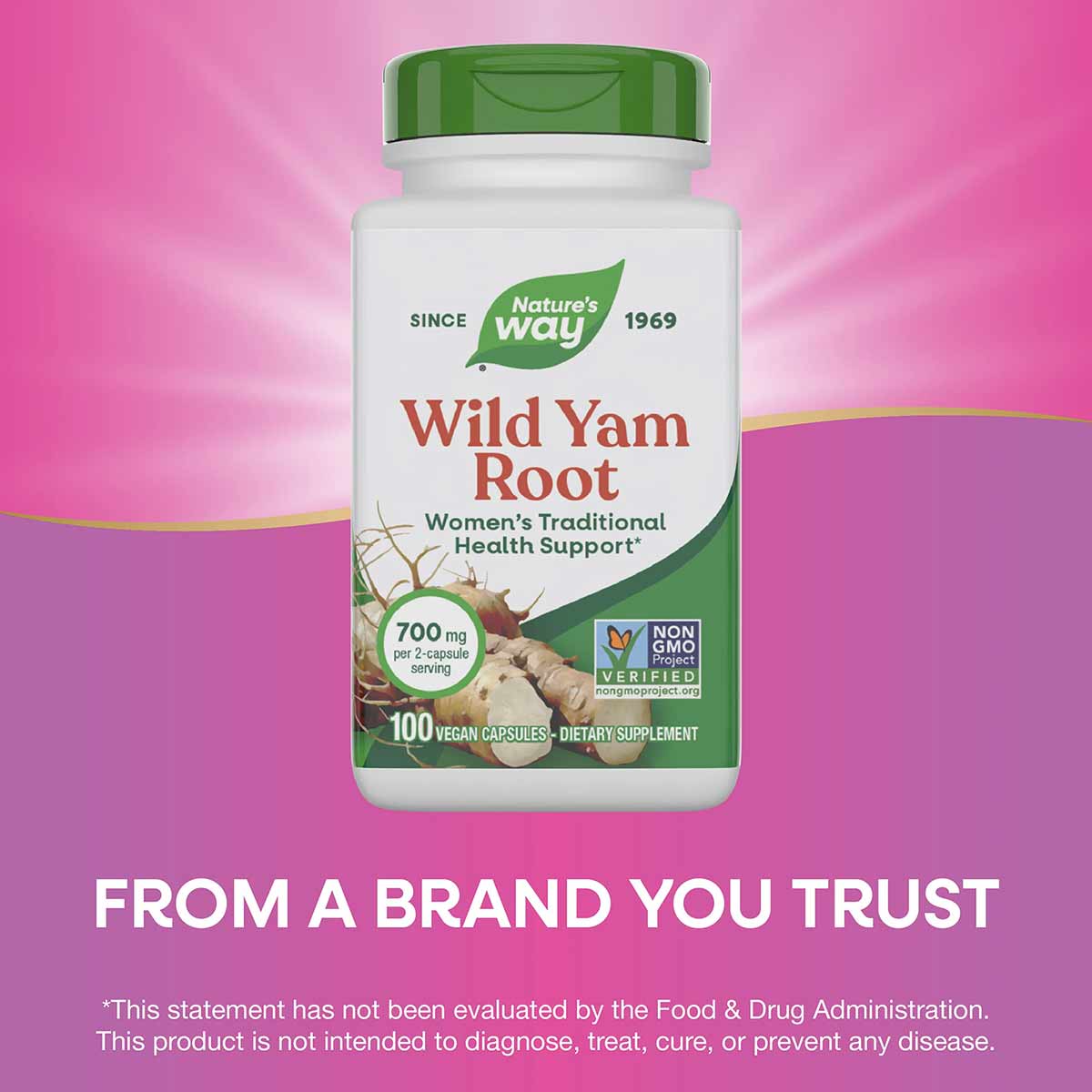 Nature's Way Wild Yam Root supplement bottle with green cap containing 100 vegan capsules at 700mg per serving.