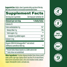 Zero Sugar Ashwagandha Gummies, by Megafood