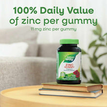 Nature's Way zinc gummy bottle with green cap on stacked books, contains 11 mg zinc per gummy.