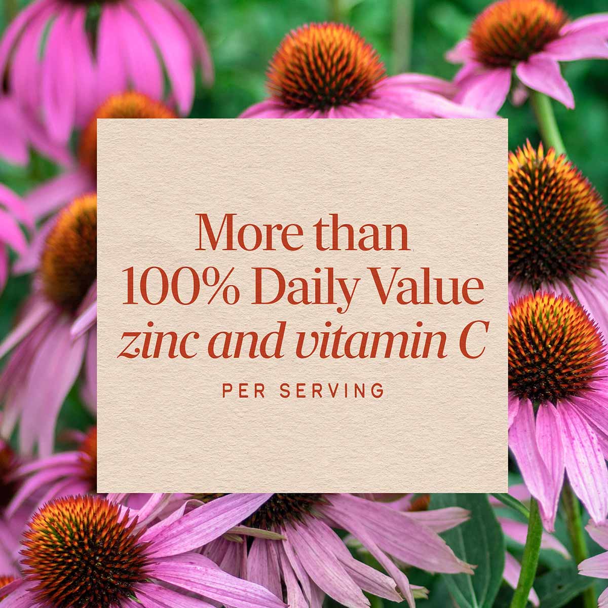 Cream-colored label with red text stating "More than 100% Daily Value zinc and vitamin C per serving" overlaid on purple and 