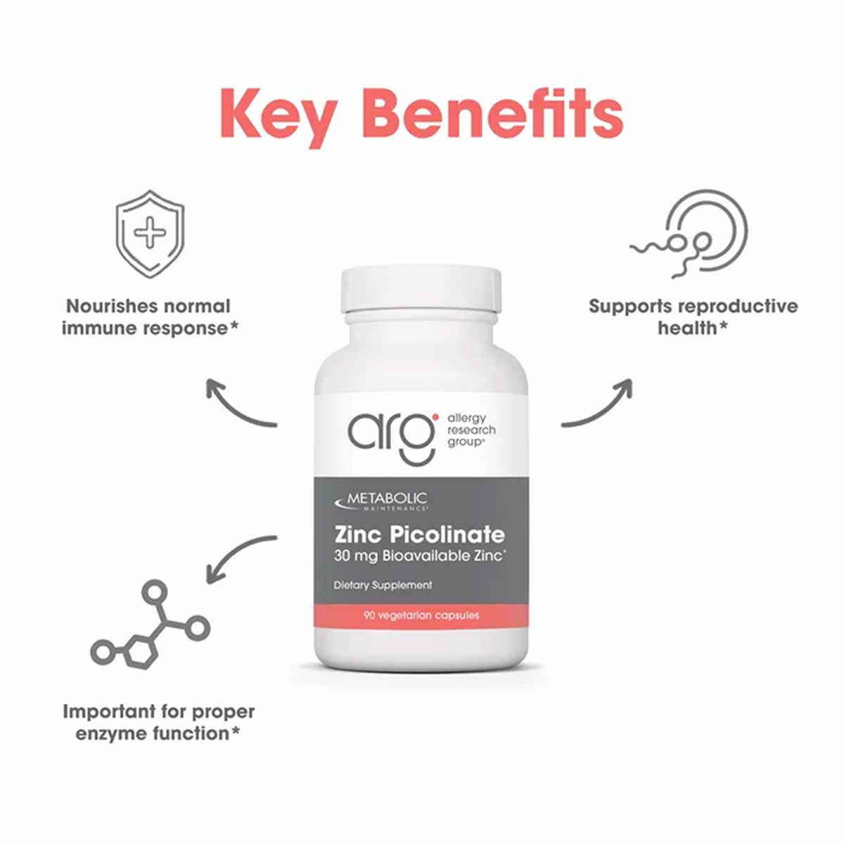White bottle of Allergy Research Group Zinc Picolinate 30 mg with gray label and red accent band, surrounded by benefit icons