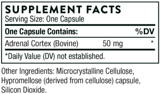 Adrenal Cortex (SG803)