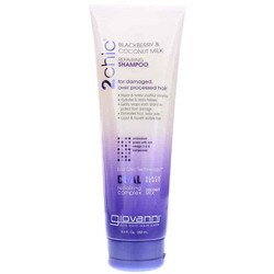 2 Chic Repairing Shampoo
