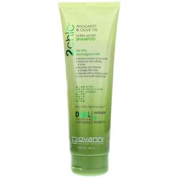 2 Chic Ultra-Moist Shampoo