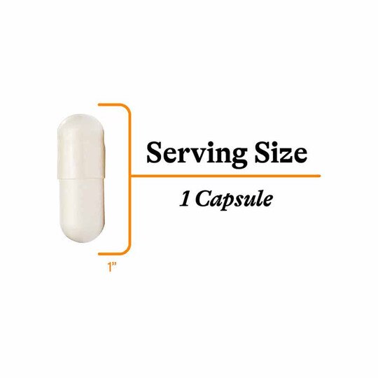 Acetyl-L-Carnitine, 90 Veg Capsules, SKH